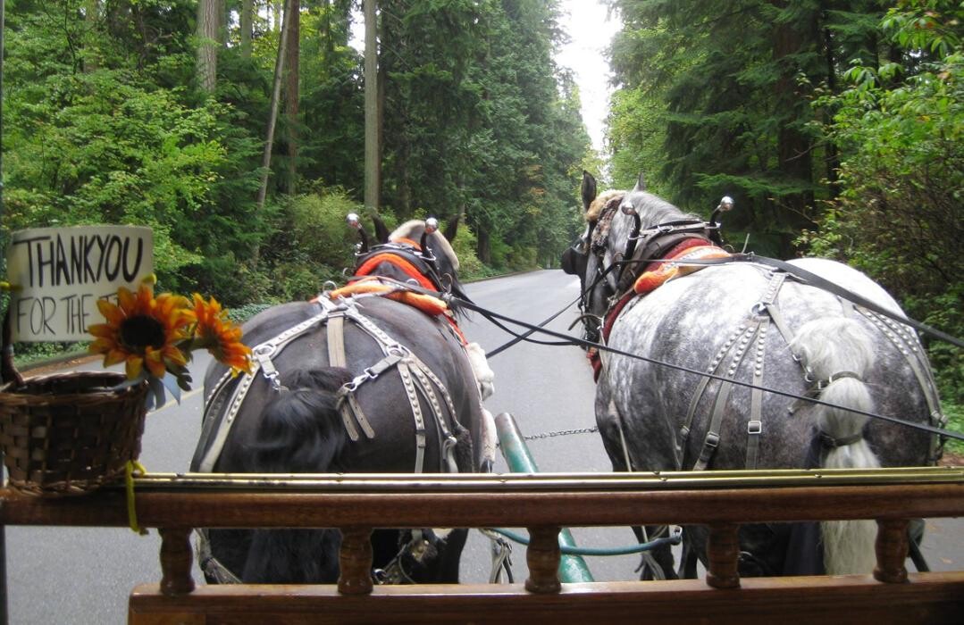 Images Stanley Park Horse Drawn-Tours
