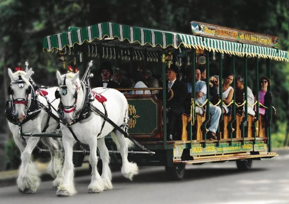 Images Stanley Park Horse Drawn-Tours