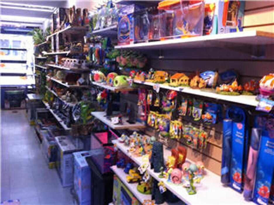 Images AJ's Pets & Things