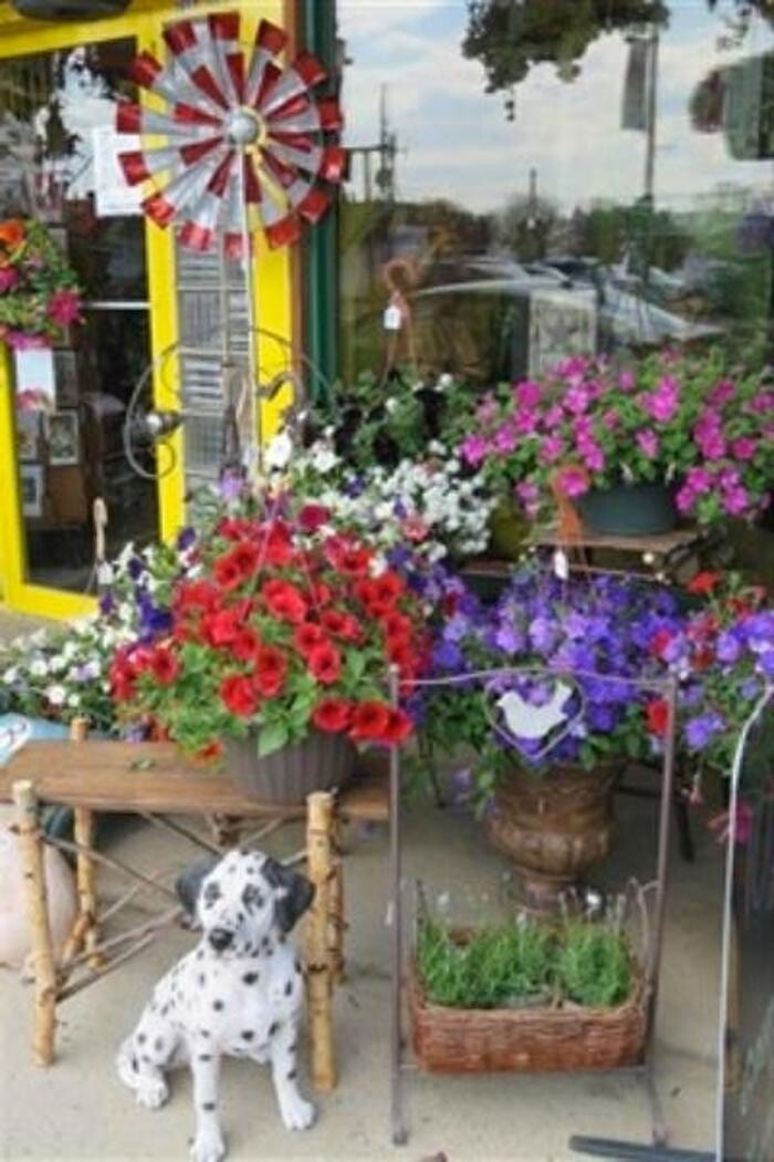 Images Flowers For You