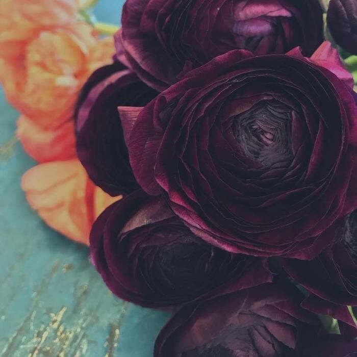 Images The Meyer Floral Co Inc