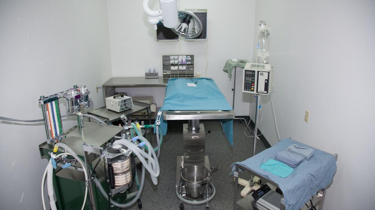 Images Woodgrove Animal Hospital