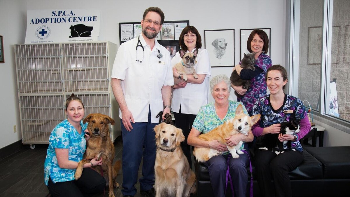 Images Woodgrove Animal Hospital