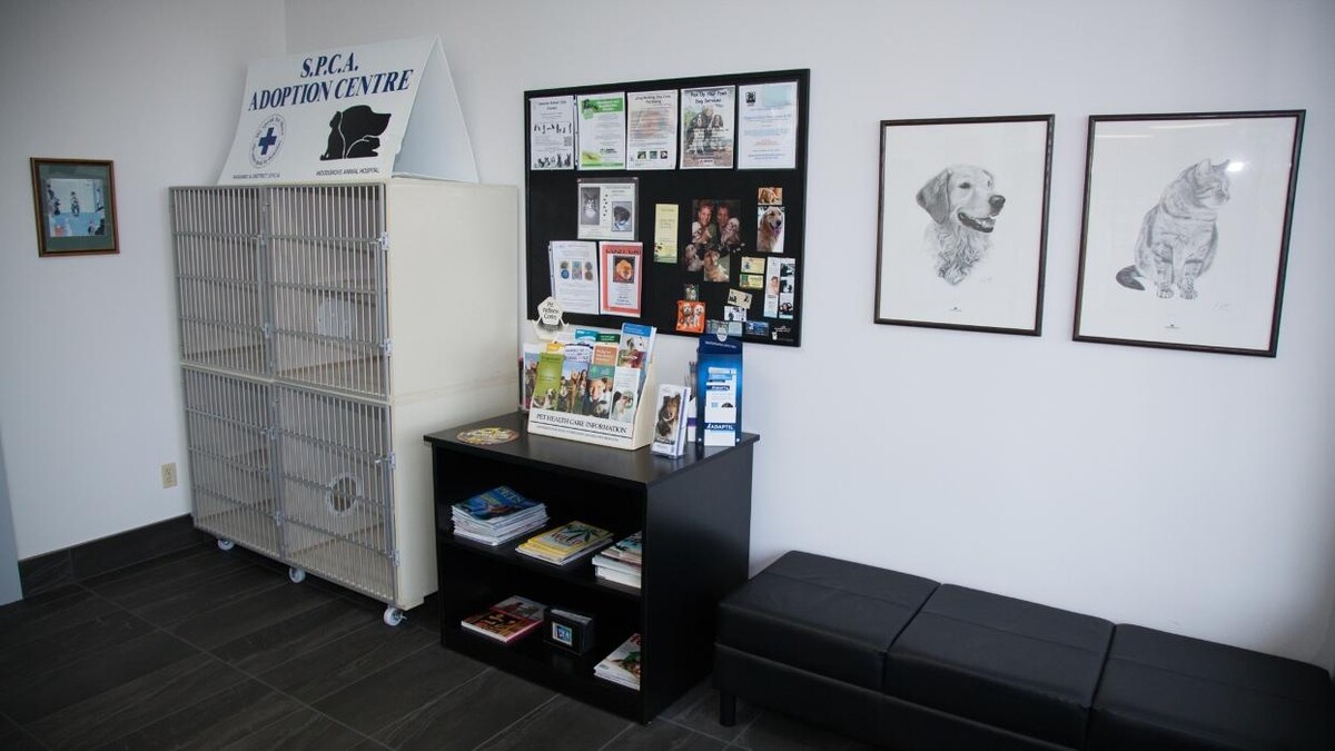 Images Woodgrove Animal Hospital