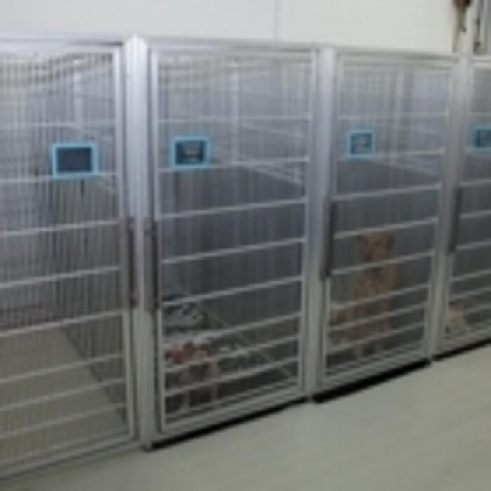 Images Woodgrove Animal Hospital