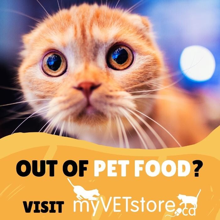 Images Sunridge Veterinary Clinic