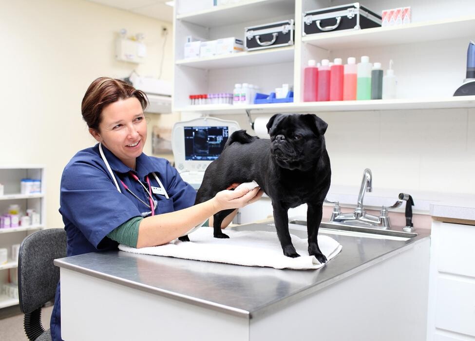 Images North Peace Veterinary Clinic Ltd
