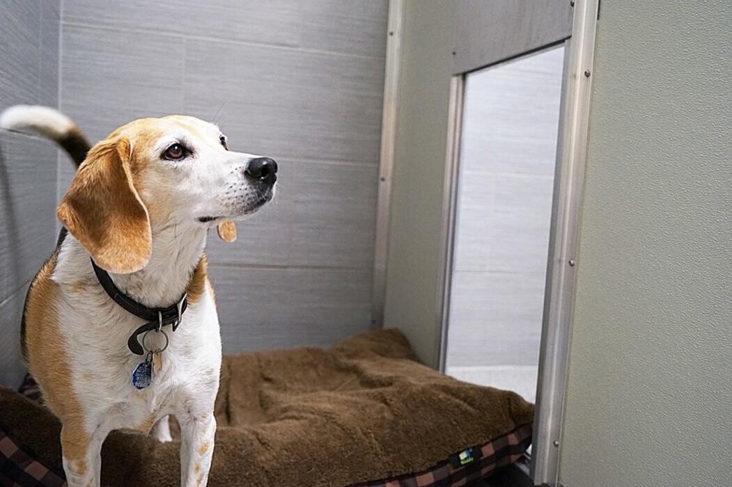 Images North Peace Veterinary Clinic Ltd