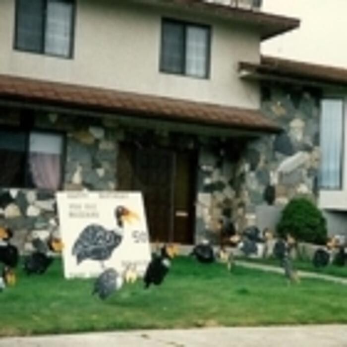 Images Turf Tiding & Clowning Around