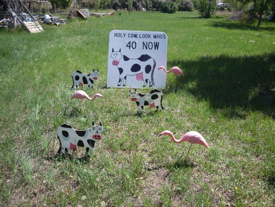 Images Turf Tiding & Clowning Around