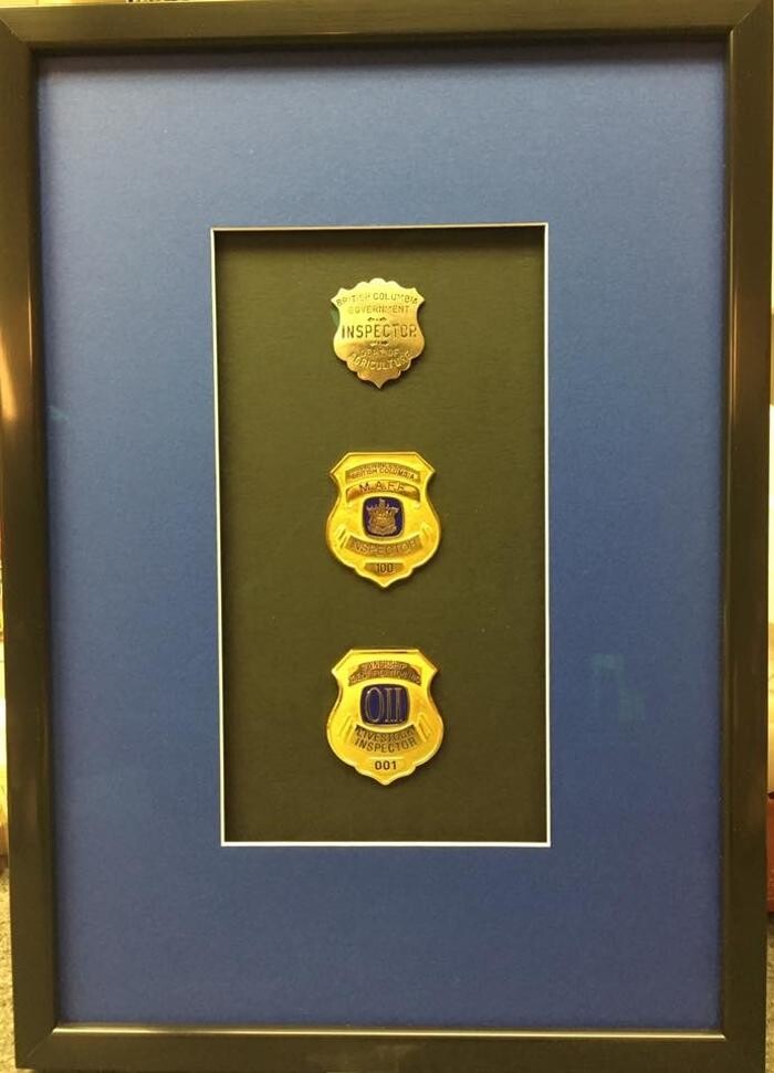 Images Creations By Lynn