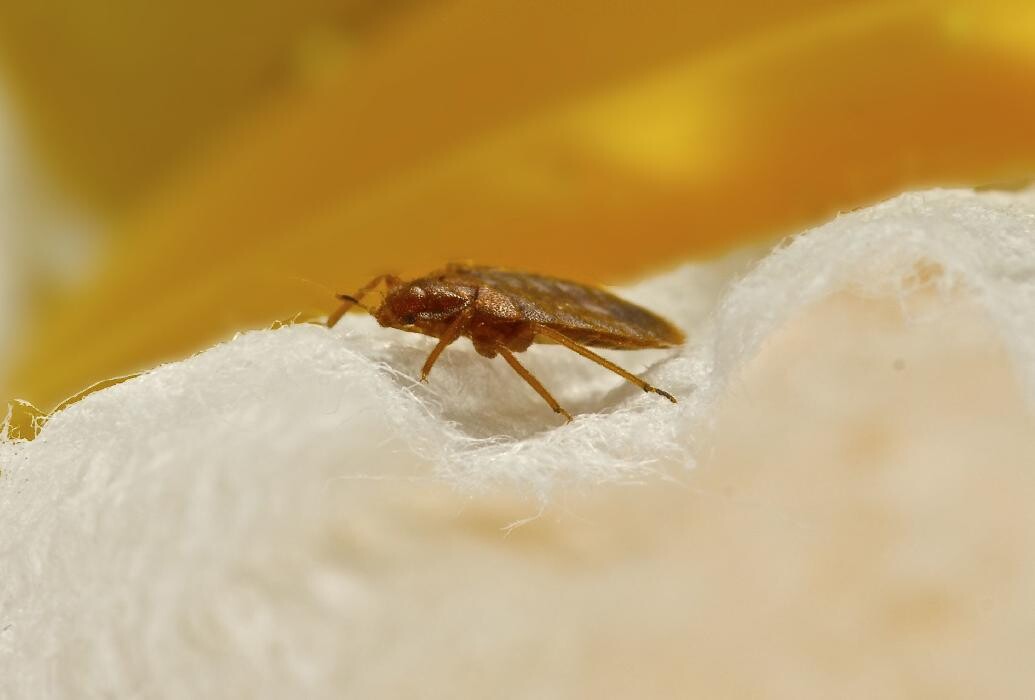 Images Maritime Pest Control Inc.