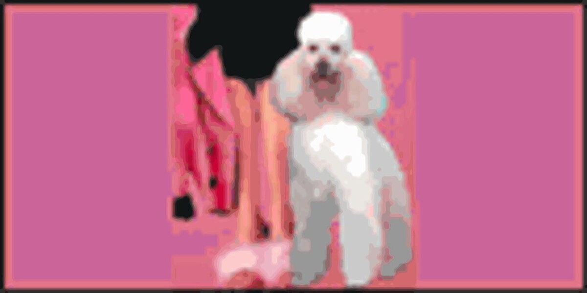 Tiffany's Grooming Salon Logo