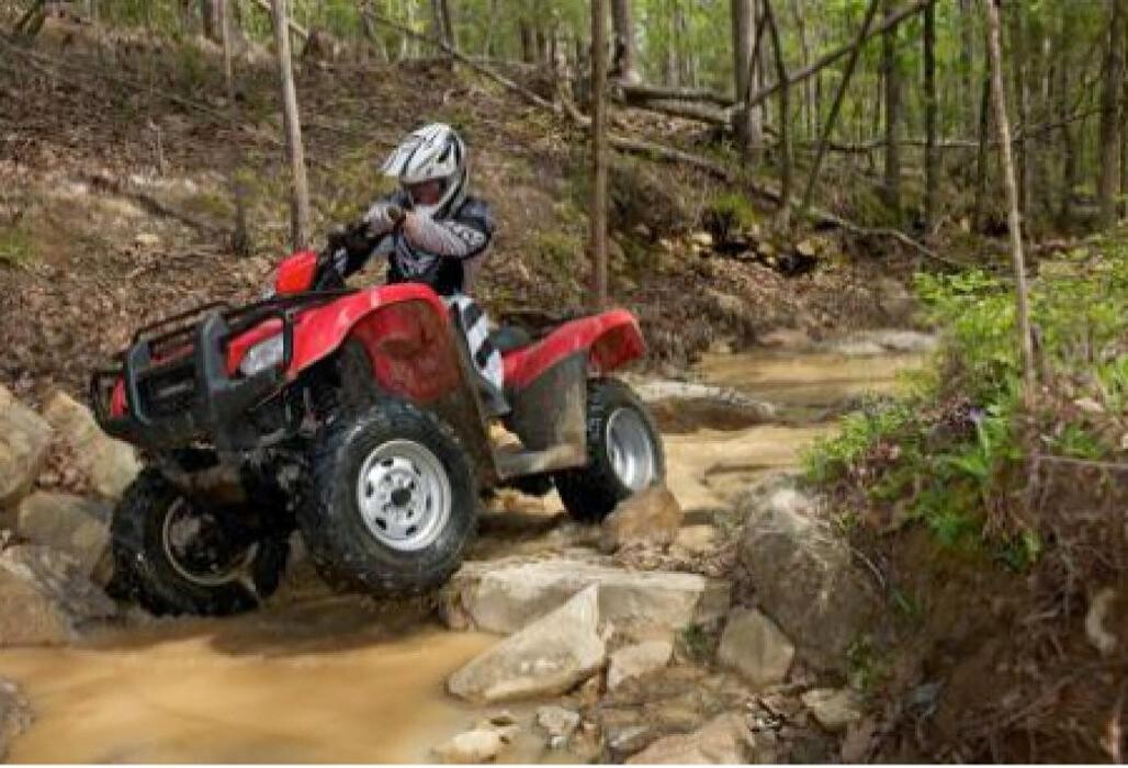 Images Neid Enterprises Ltd