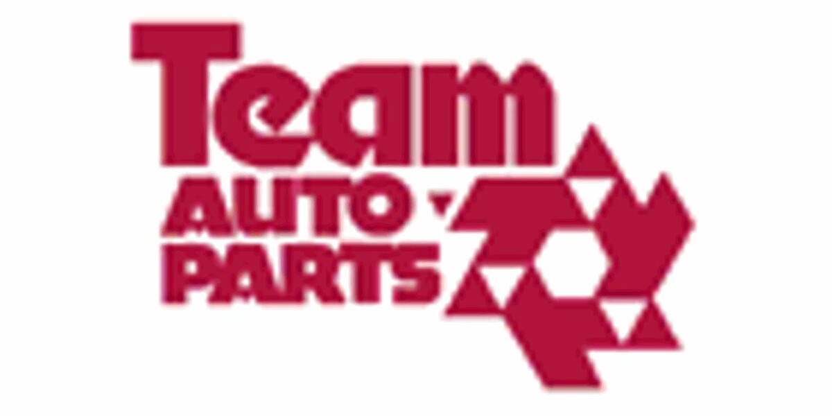 Team Autoparts Ltd Logo