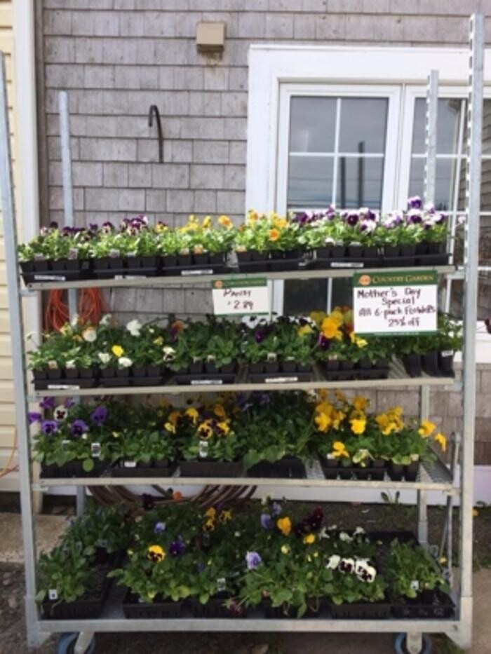 Images Co-op Country Store