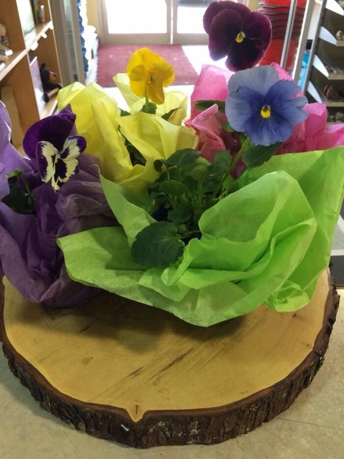 Images Co-op Country Store