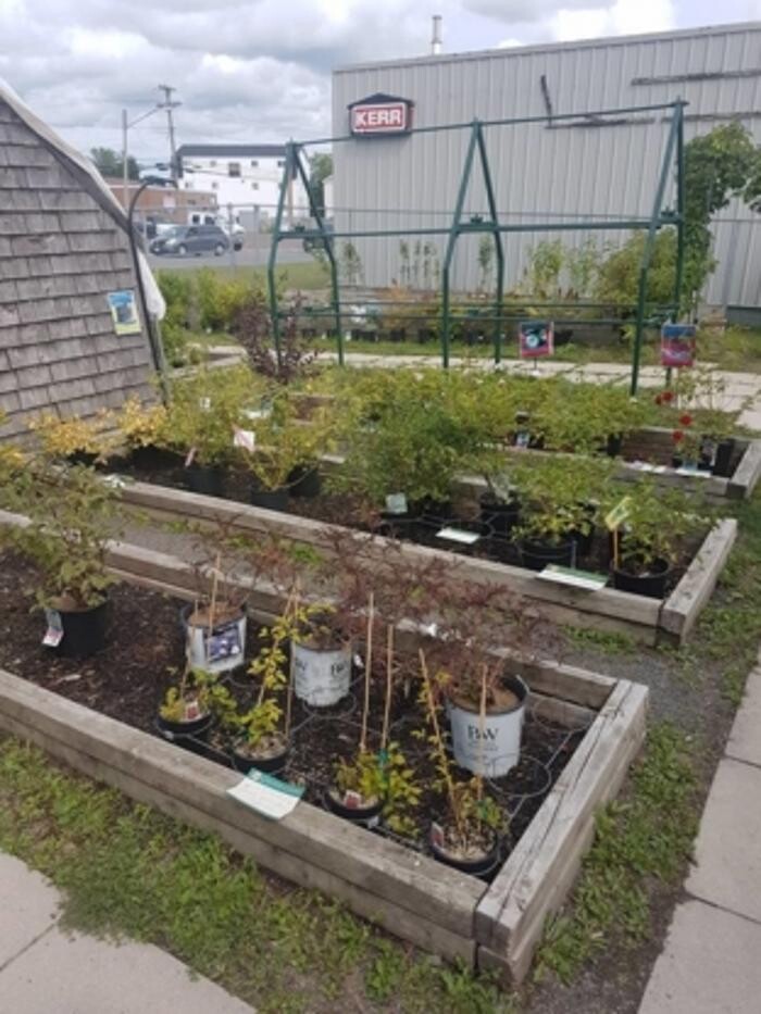 Images Co-op Country Store