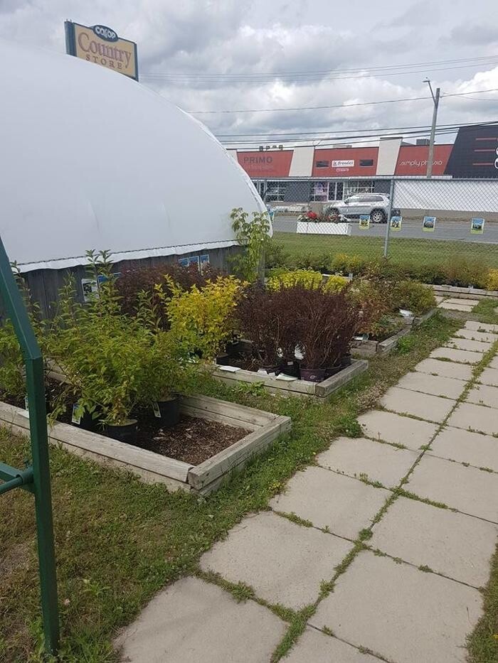 Images Co-op Country Store