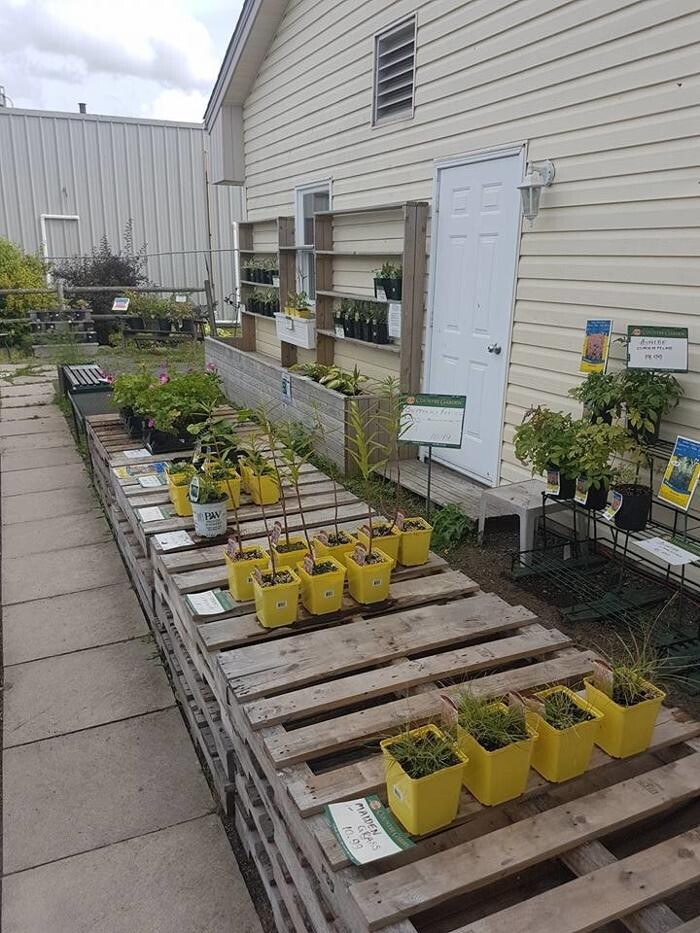 Images Co-op Country Store