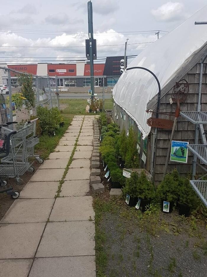 Images Co-op Country Store