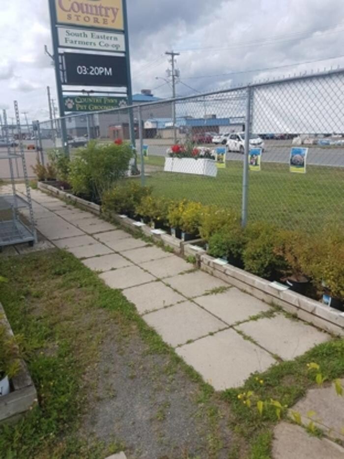 Images Co-op Country Store