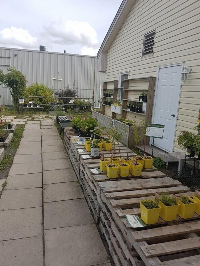 Images Co-op Country Store