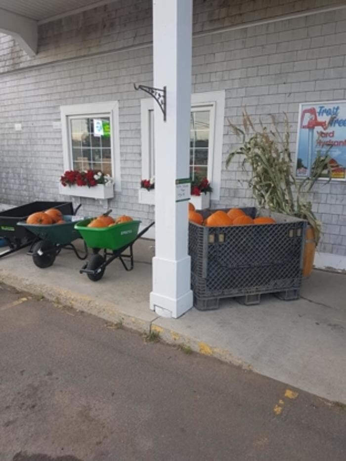 Images Co-op Country Store