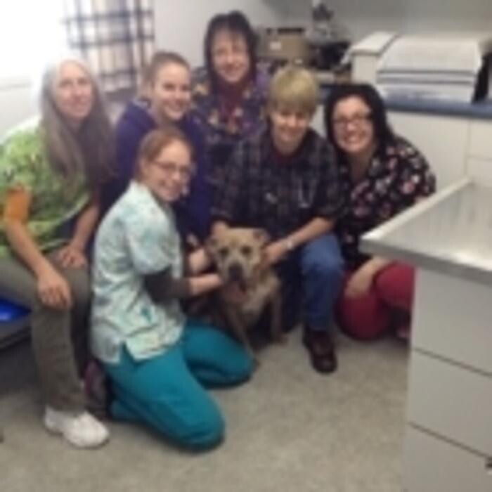 Images Dr M E Themens