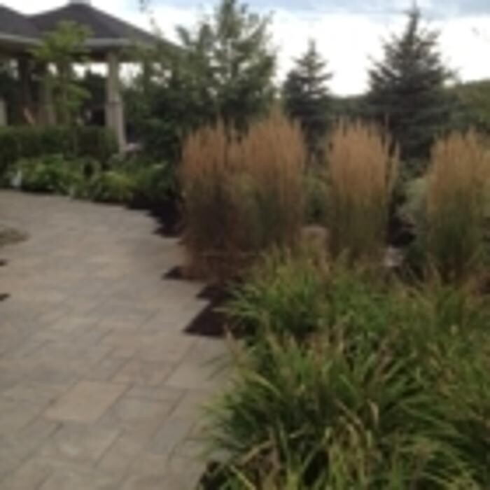 Images Lasting Image Landscaping Ltd