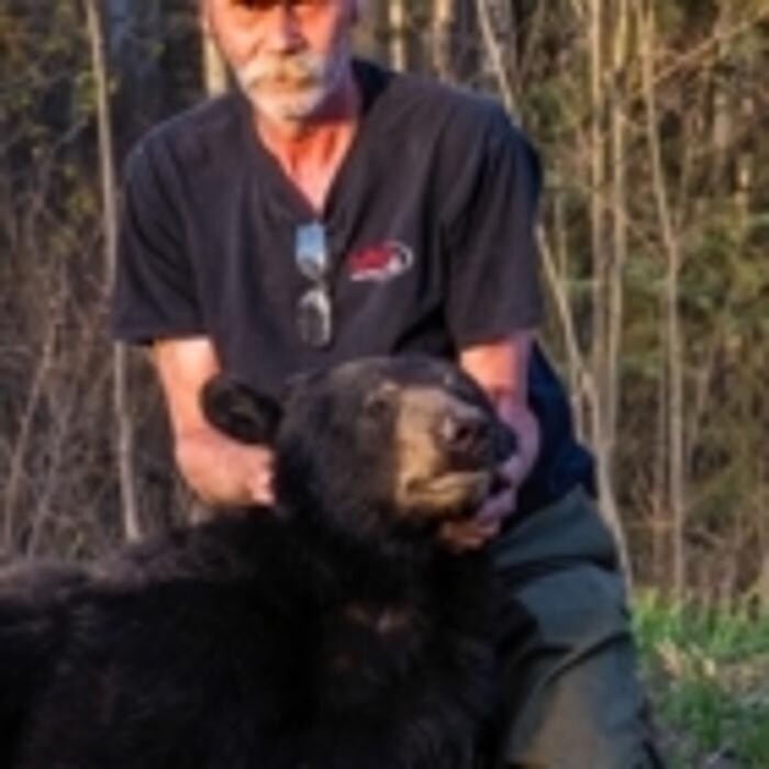 Images Bruin Taxidermy