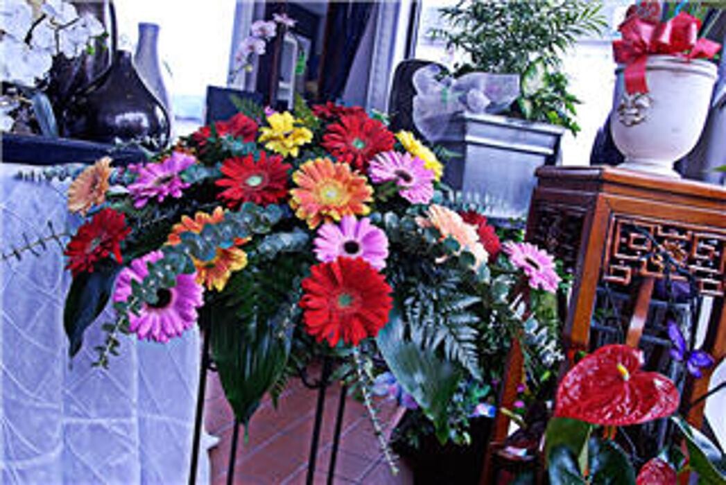 Images Patricia Christina's Flowers