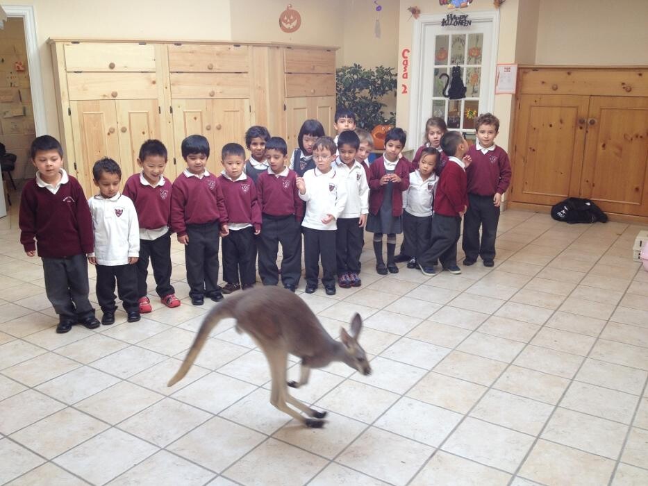Images Westbrook Montessori Academy