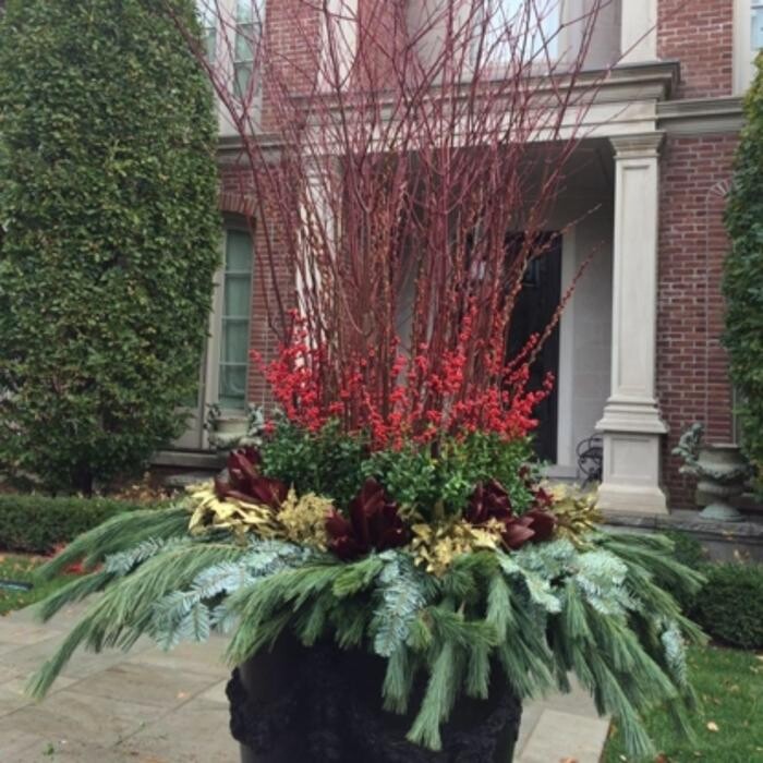 Images Bulow Garden Centre Oakville