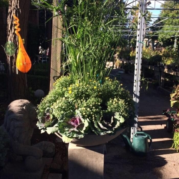 Images Bulow Garden Centre Oakville