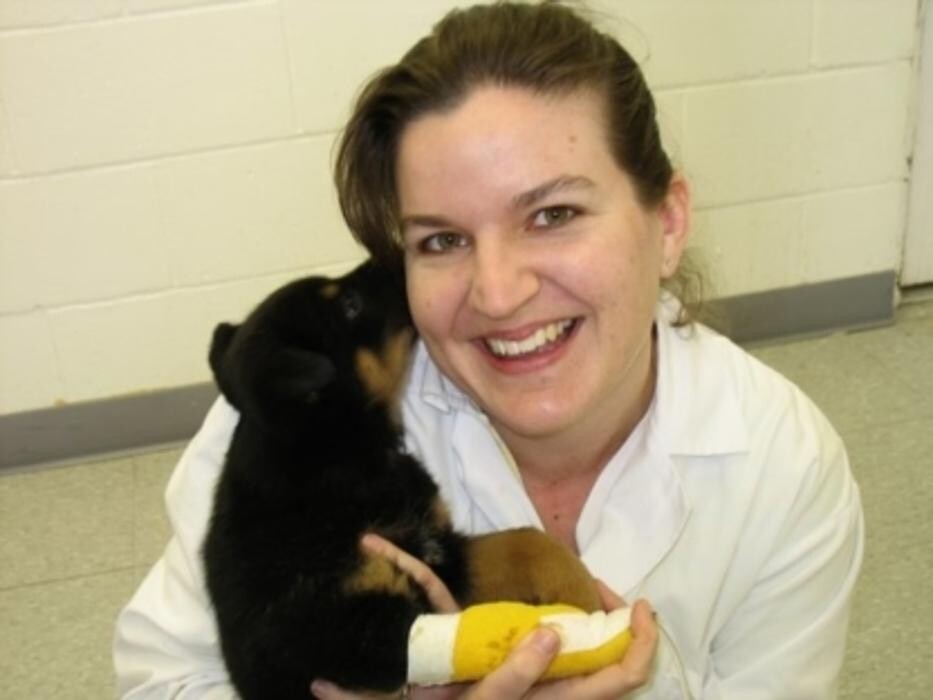 Images Snelgrove Veterinary Services