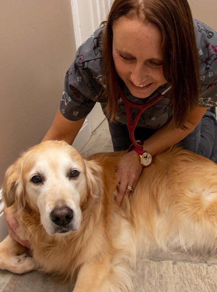 Images Snelgrove Veterinary Services