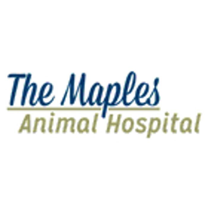 Images The Maples Animal Hospital