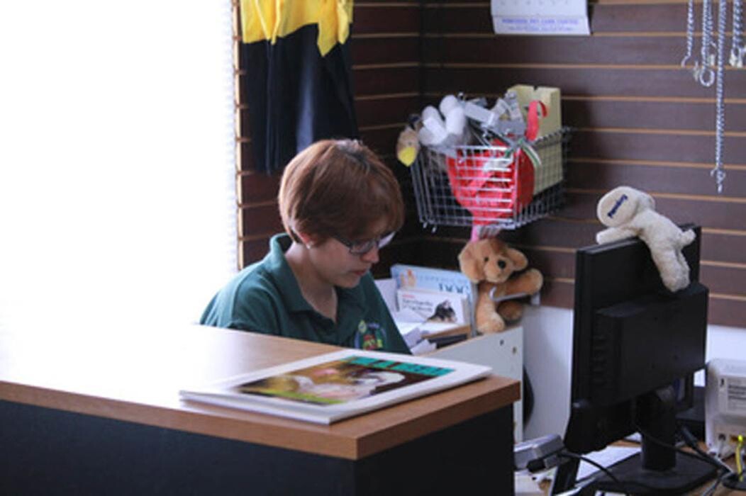 Images Pinetree Pet Resort