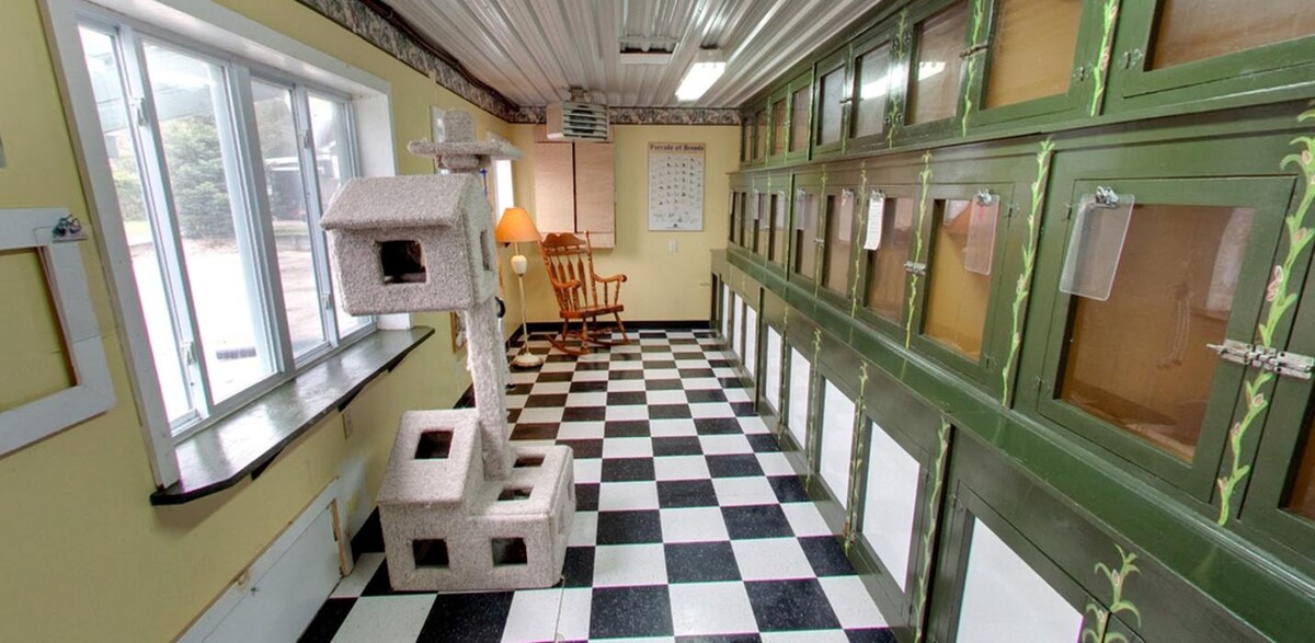 Images Pinetree Pet Resort