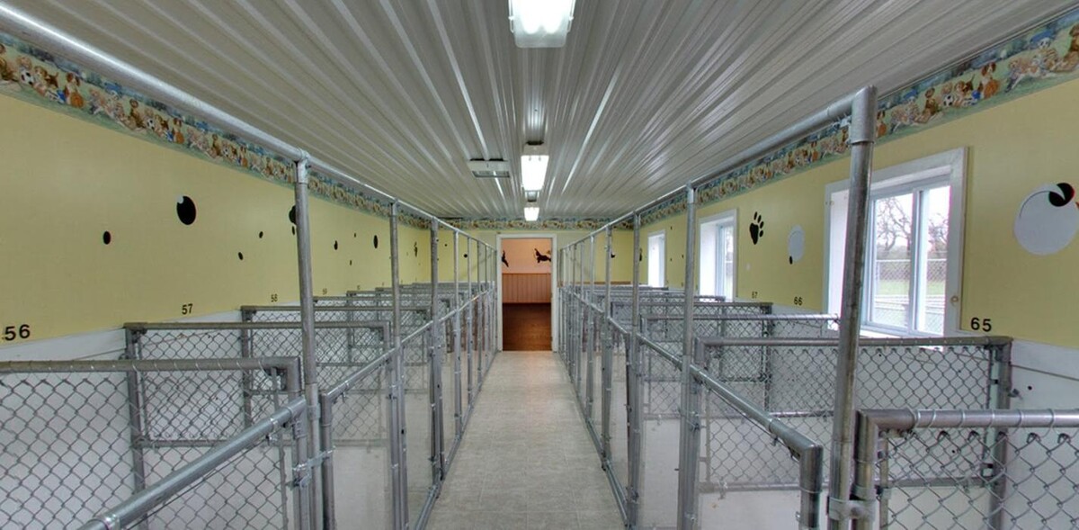 Images Pinetree Pet Resort