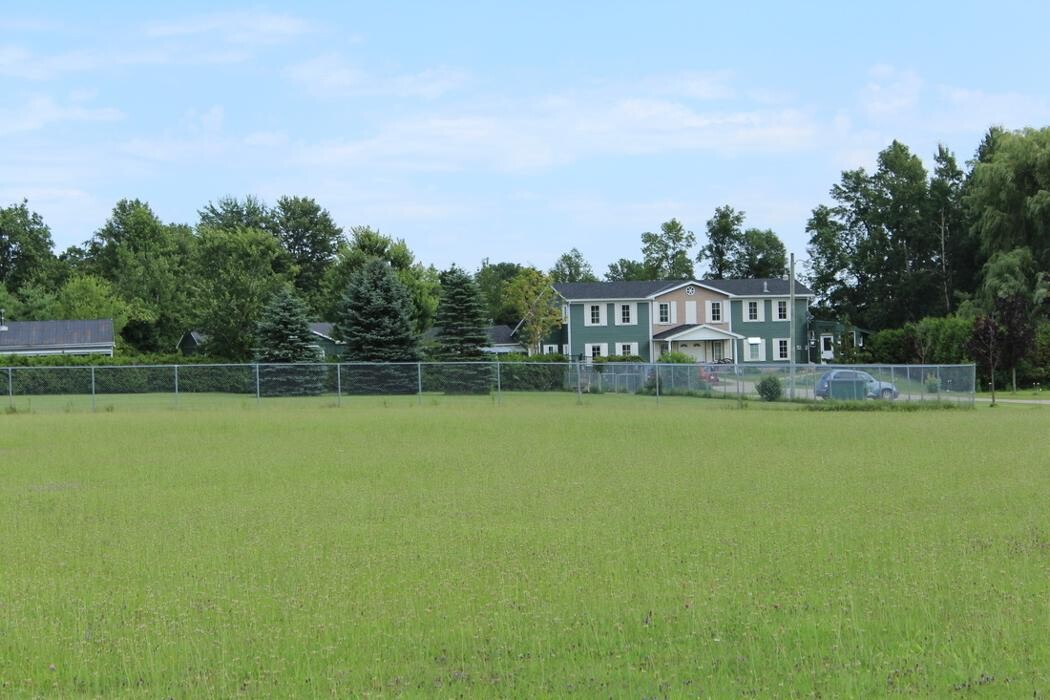 Images Pinetree Pet Resort
