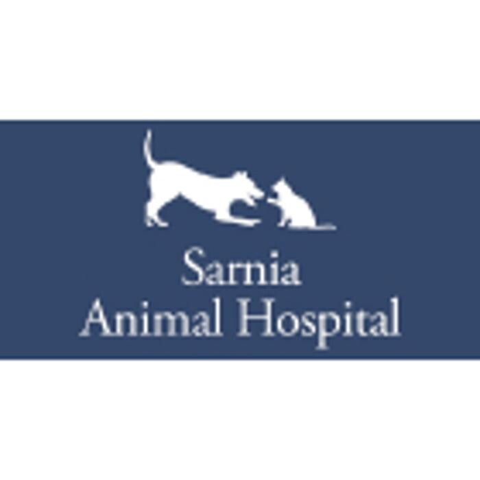 Images Sarnia Animal Hospital