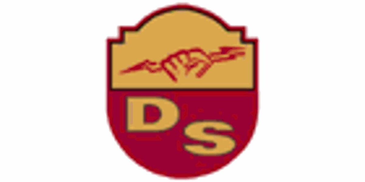 Donald Servant Electric Limited Logo