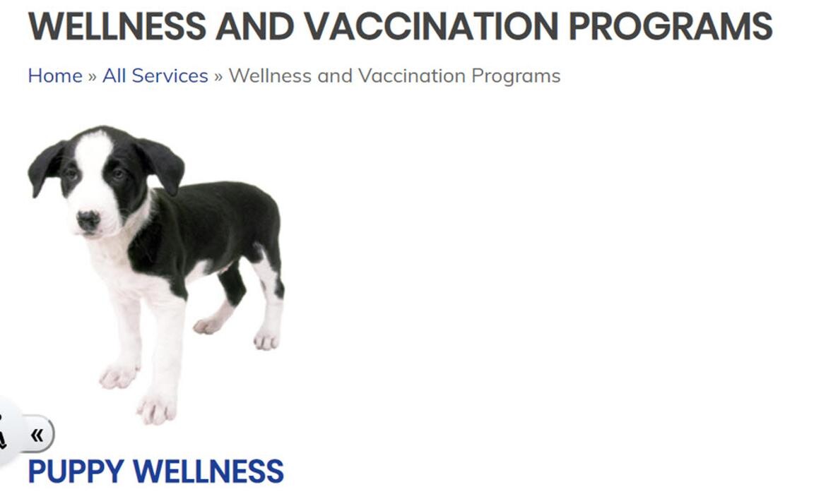 Images South Peel Veterinary Hospital