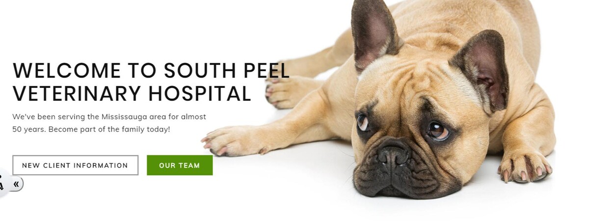 Images South Peel Veterinary Hospital