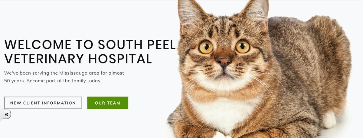 Images South Peel Veterinary Hospital