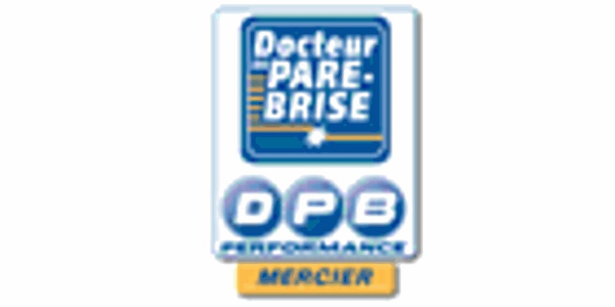 Docteur du Pare-Brise Logo