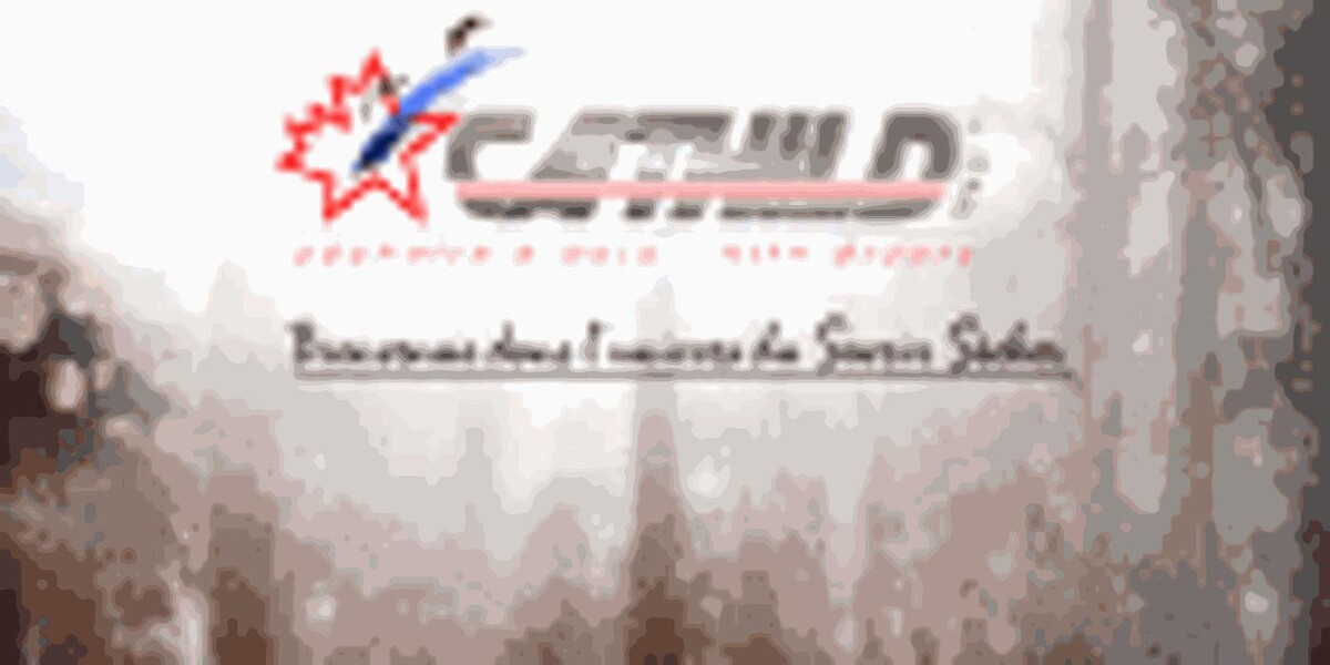 Cathild Inc Logo