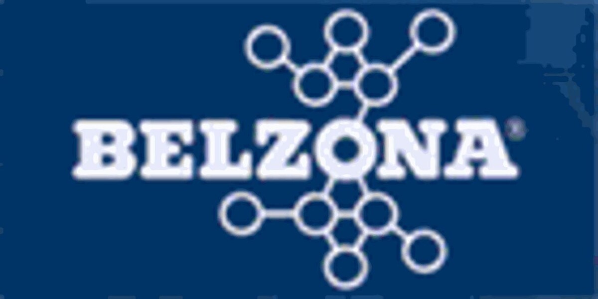 Belzona Québec Inc Logo